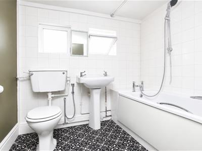 Picture 7